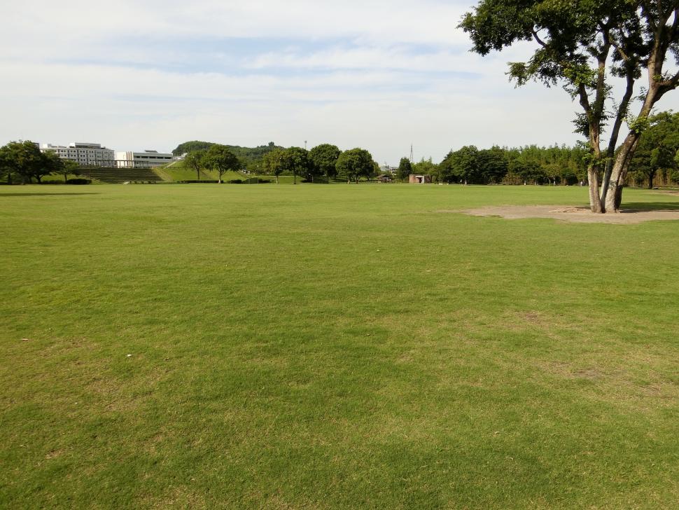 七瀬川自然公園芝生広場の写真