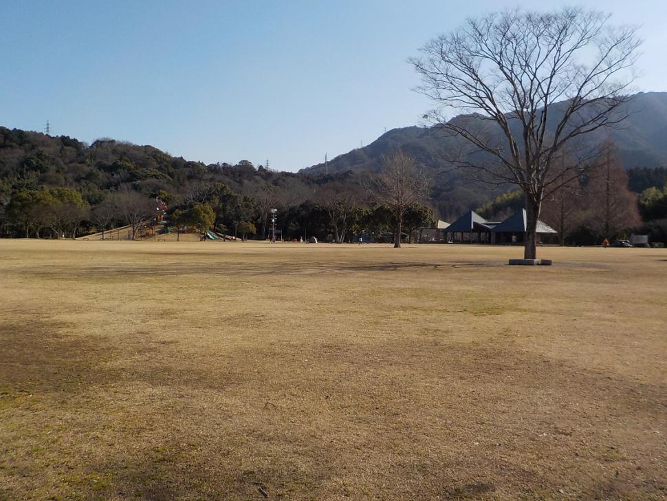 七瀬川自然公園芝生広場の写真