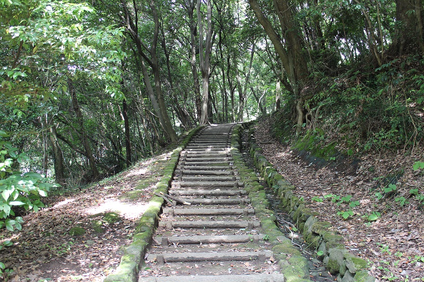 上野丘子どものもり公園散策路の写真