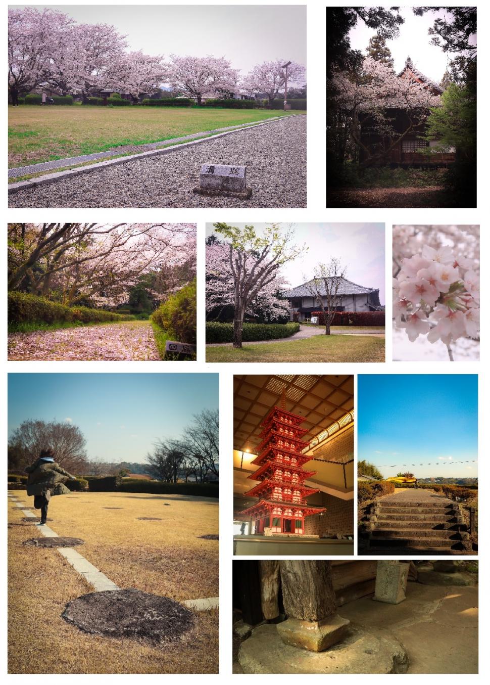 豊後国分寺跡