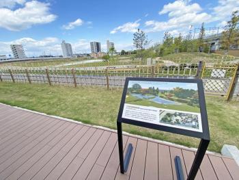 交流館からの庭園