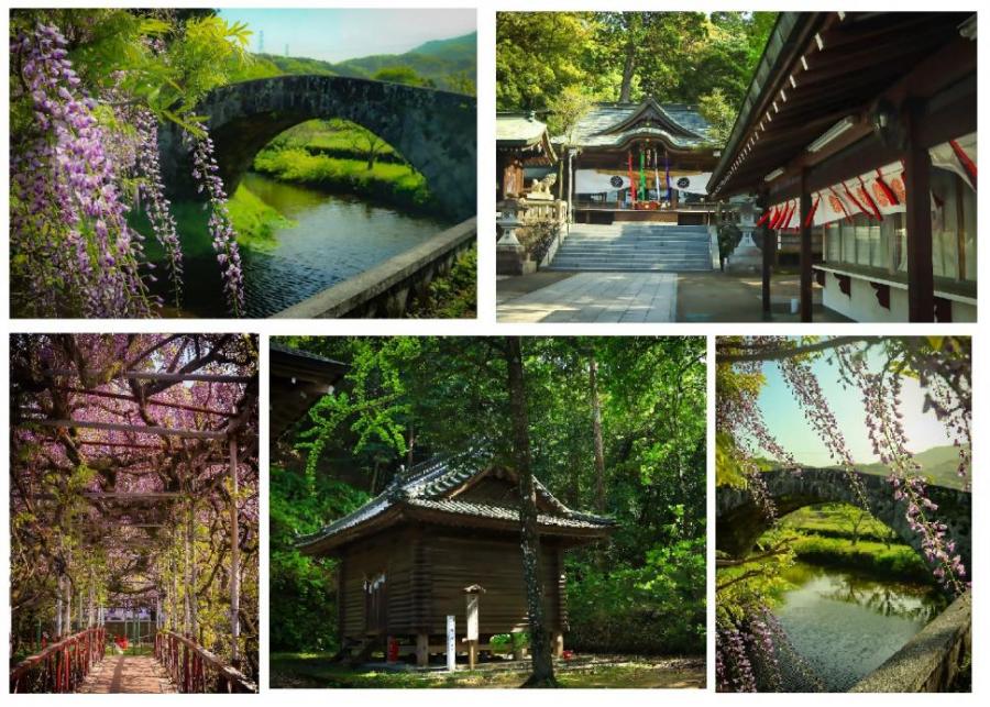 西寒多神社写真
