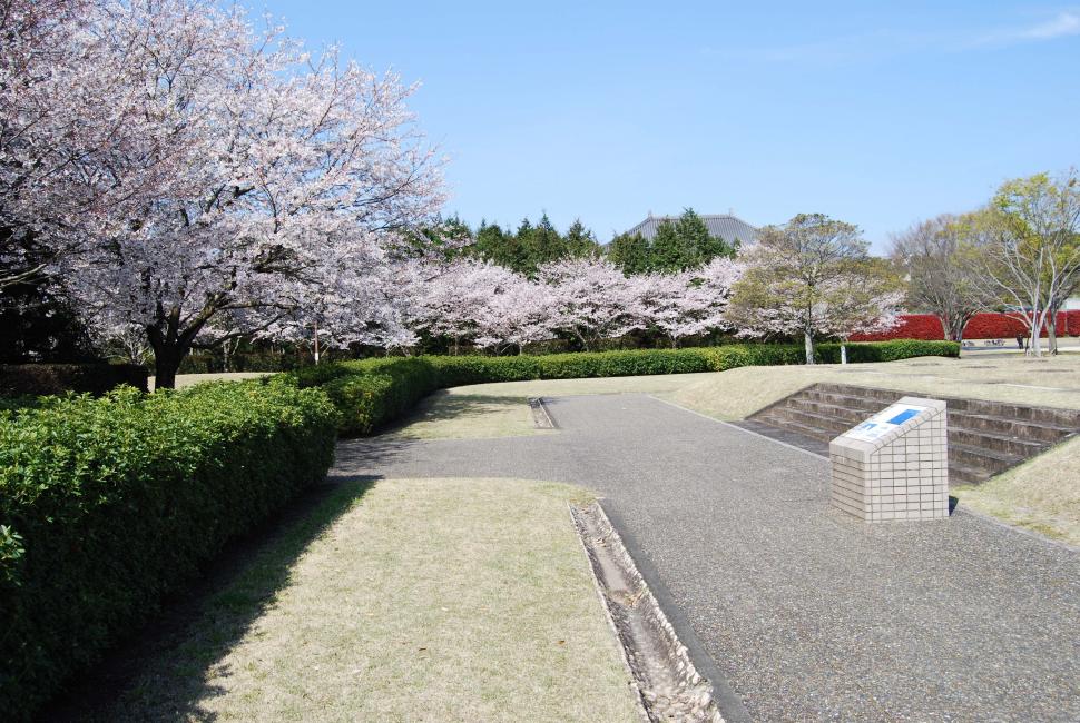 豊後国分寺史跡公園内