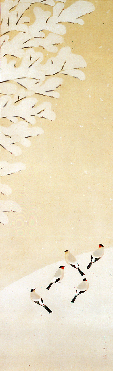 光雪