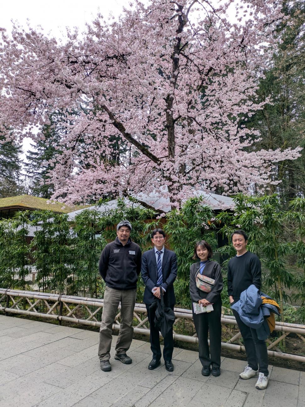 portland japanese garden01