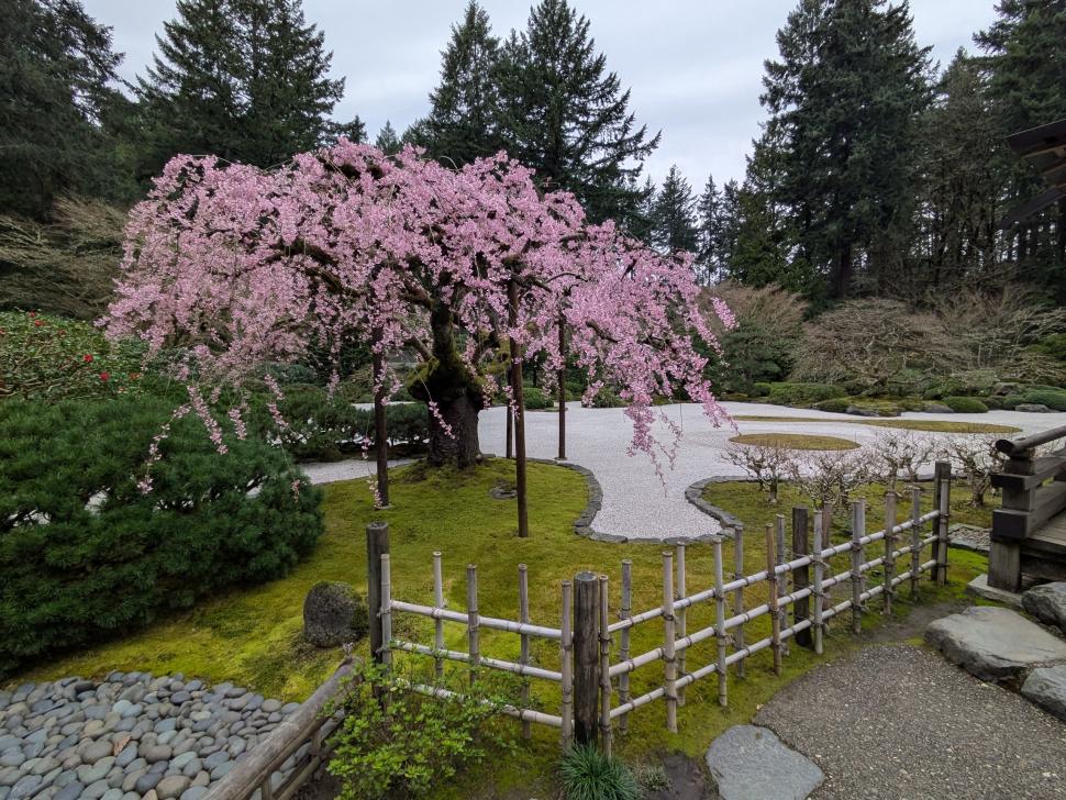 portland japanese garden02