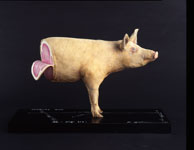 吉村益信「豚；PigLib」の写真