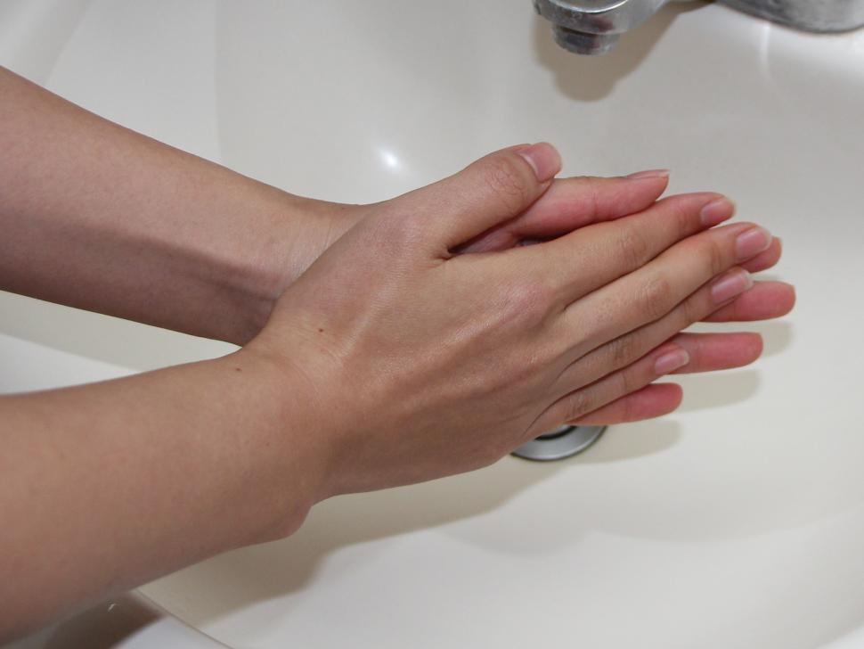 手洗いの方法1の画像