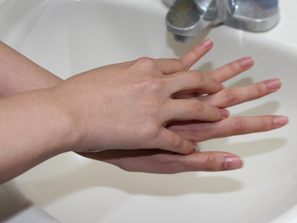 手洗いの方法2の画像