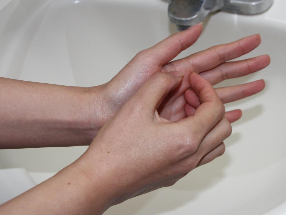 手洗いの方法3の画像