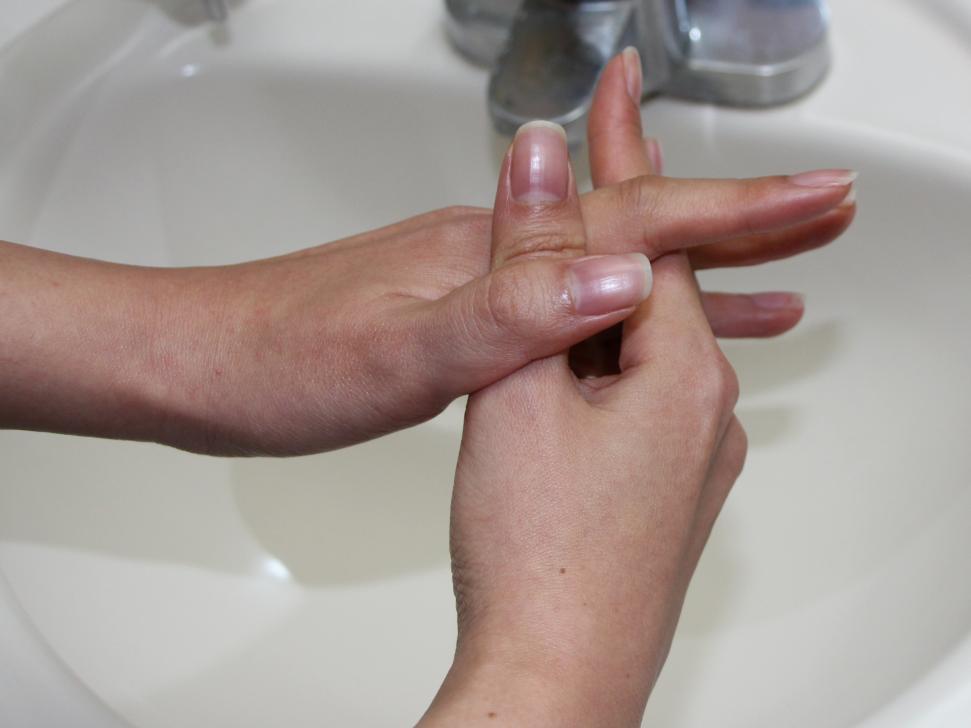 手洗いの方法4の画像