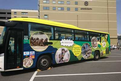 高崎山自然動物園デザインバス