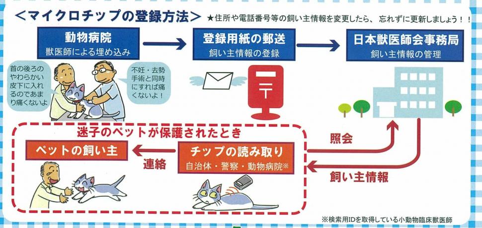 ペット マイクロ チップ 義務 化