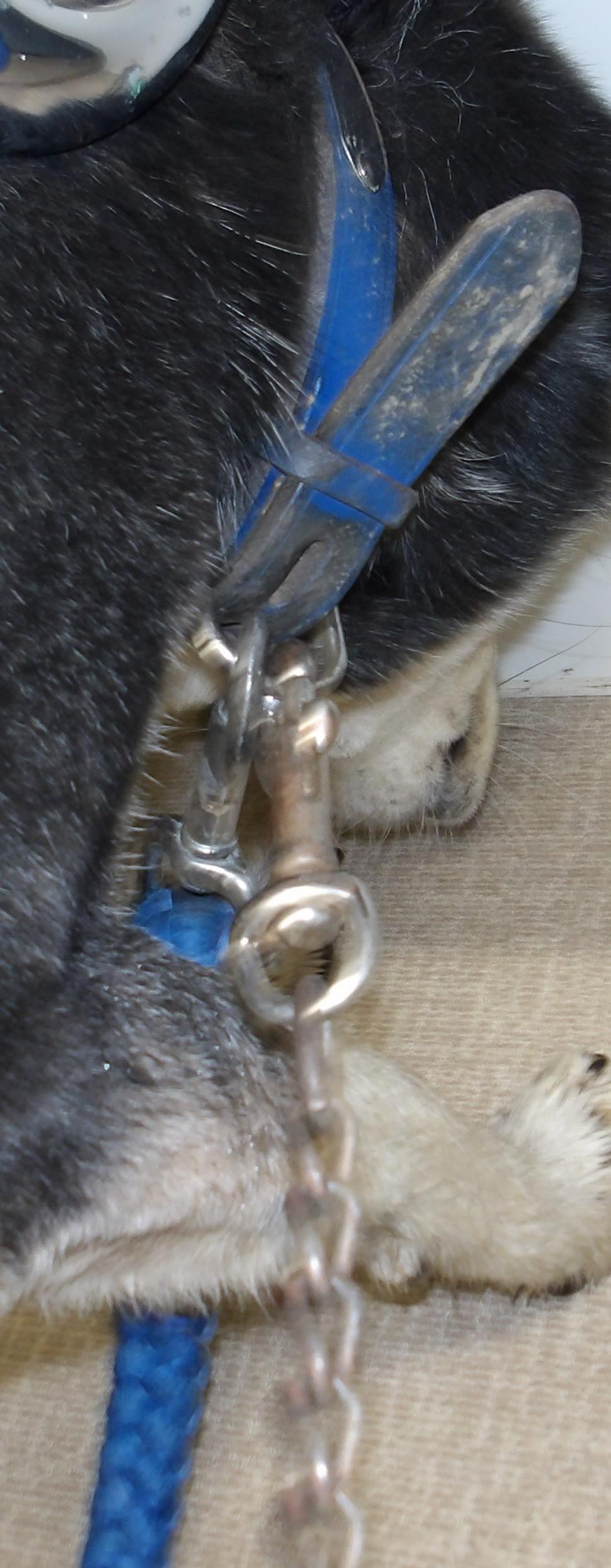 20260403kubarukubiwa