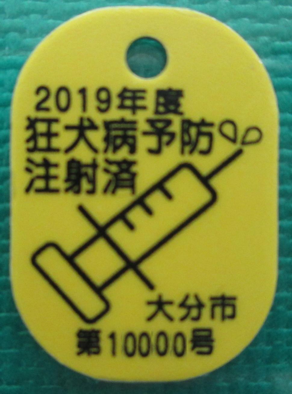 2019年度済票