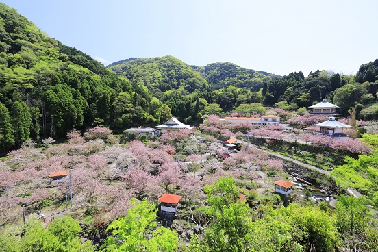 一心寺