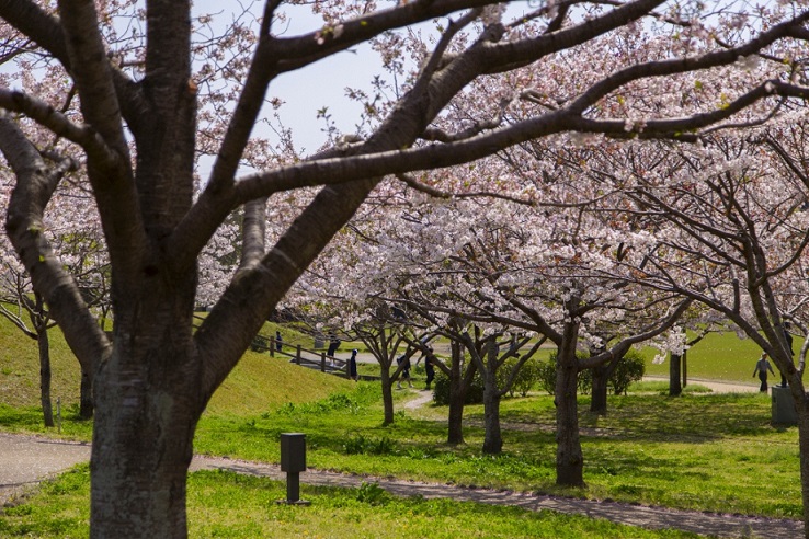 七瀬川自然公園