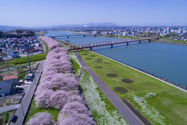 大野川右岸緑地