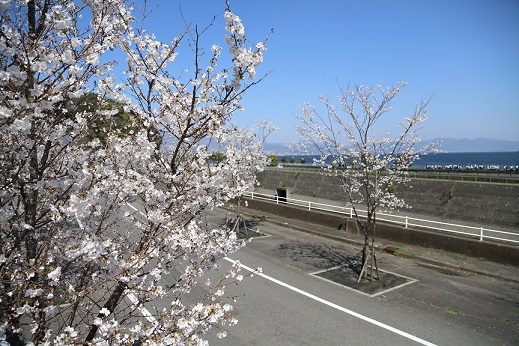 田ノ浦海岸線